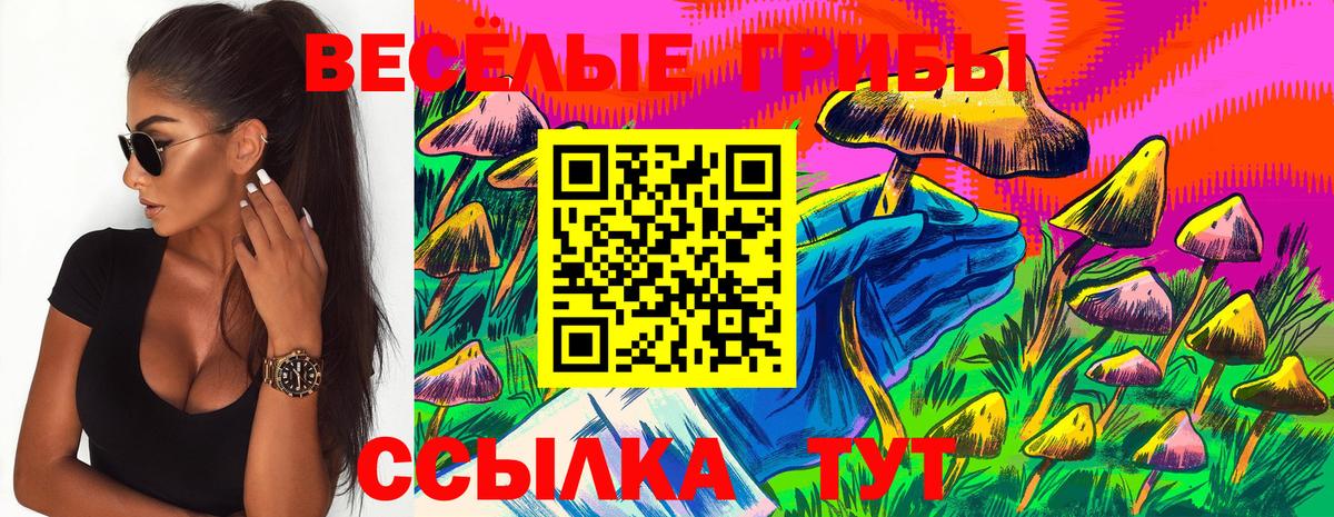 Дзержинский  Псилоцибиновые грибы прущие грибы  Вход с VPN 