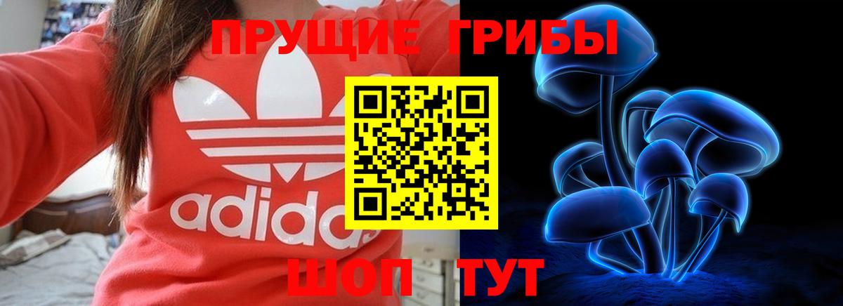 Псилоцибиновые грибы Cubensis Дзержинский
